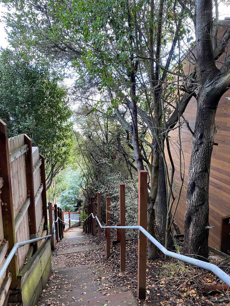 Sausalito Walk The Sausalito Stairs DUOVEO hidden walking trail