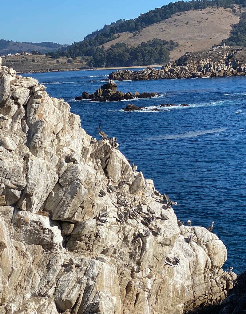 View on the ocean at Point Lobos during a California hike